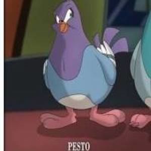 Meet your Posher, Anthony